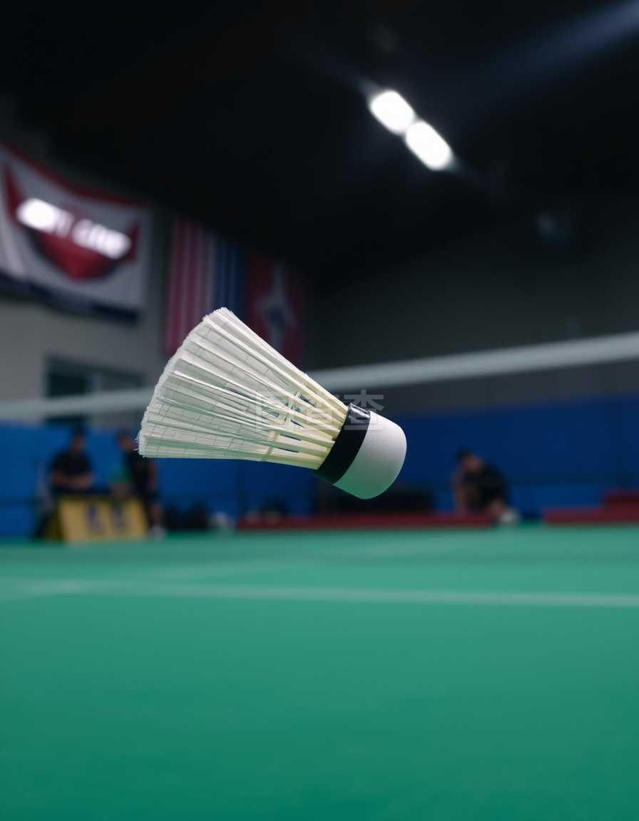 中国男排全 中国男排全